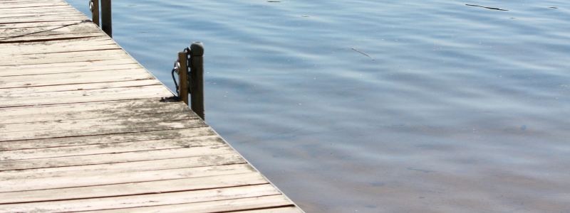 Lake Bottom Blanket vs Lake Mat